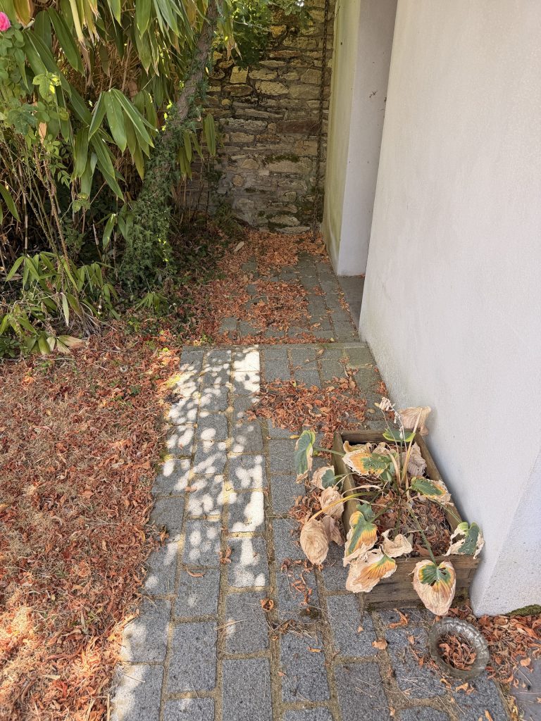 Nettoyage de terrasse et allée à Saint-Avé
